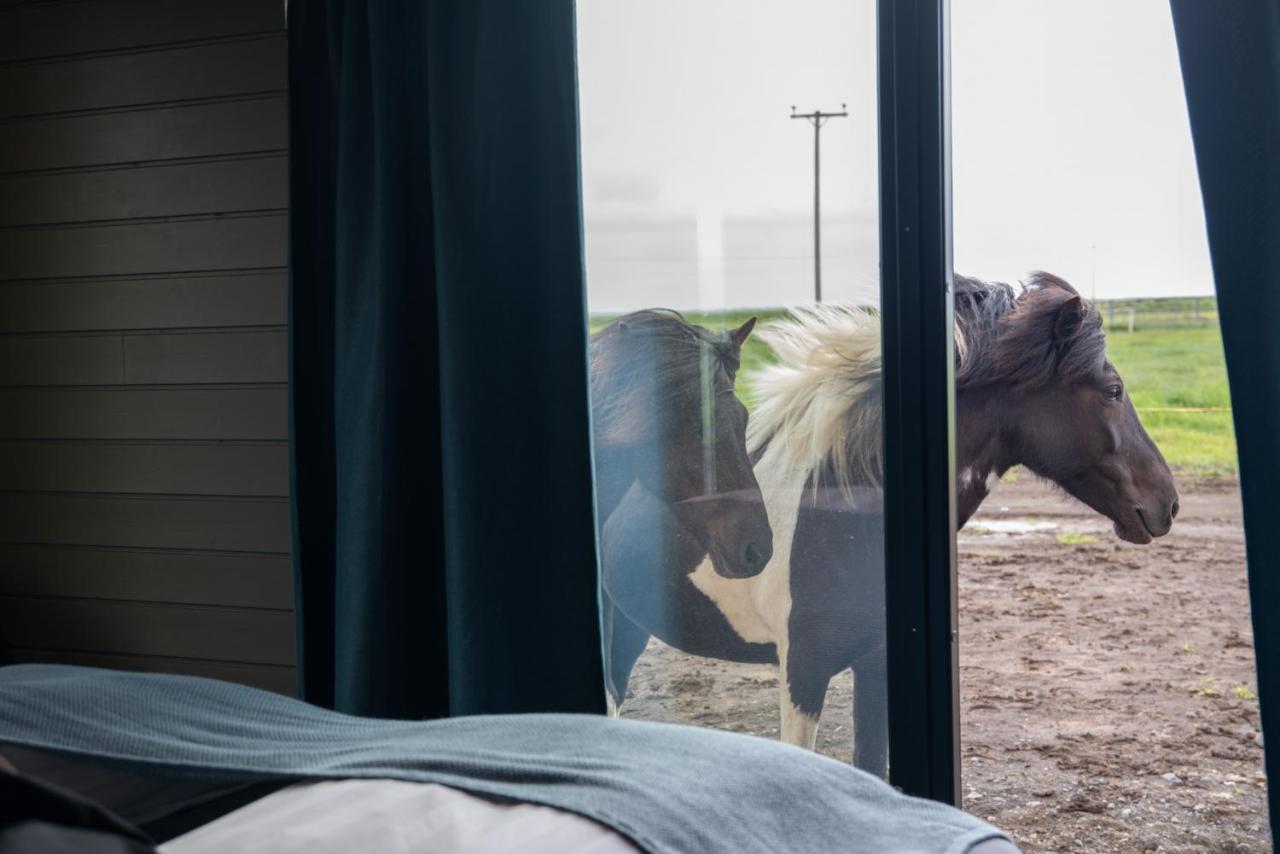 Sleeping With The Horses Hvolsvöllur Exterior foto