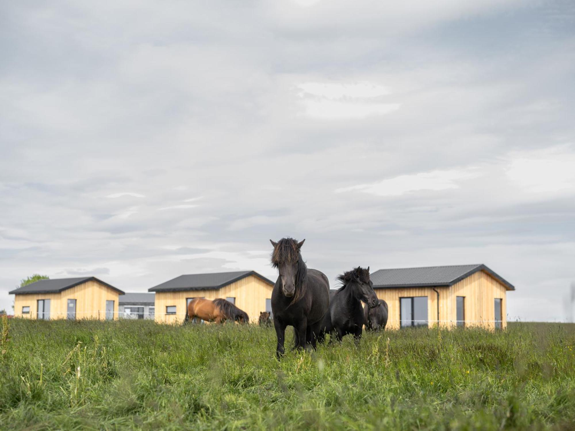 Sleeping With The Horses Hvolsvöllur Exterior foto