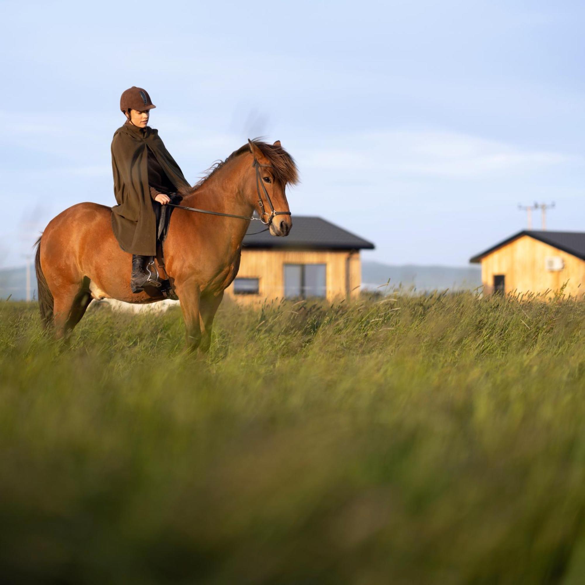 Sleeping With The Horses Hvolsvöllur Exterior foto